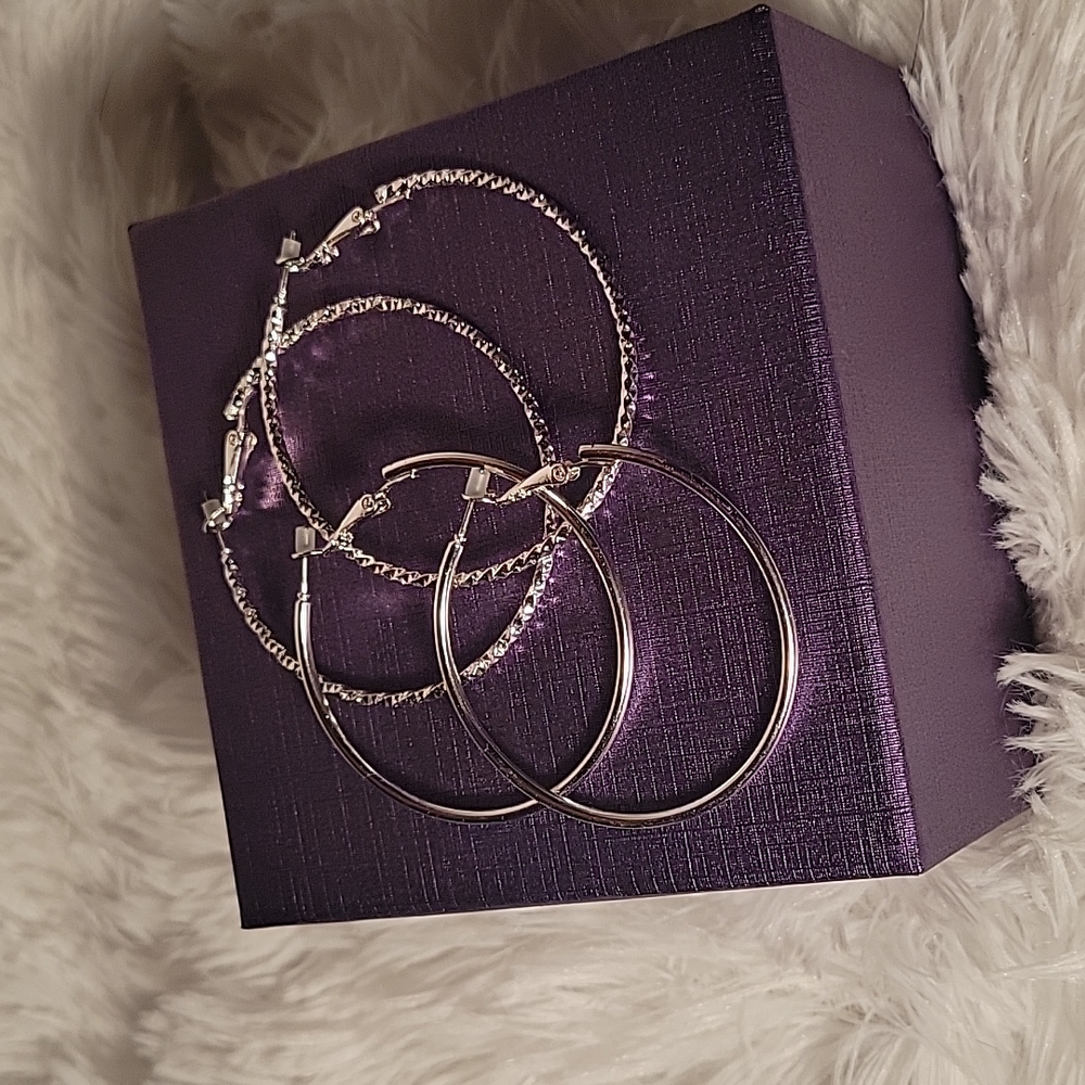 NWOT - Pair of Silver Hoop Earrings